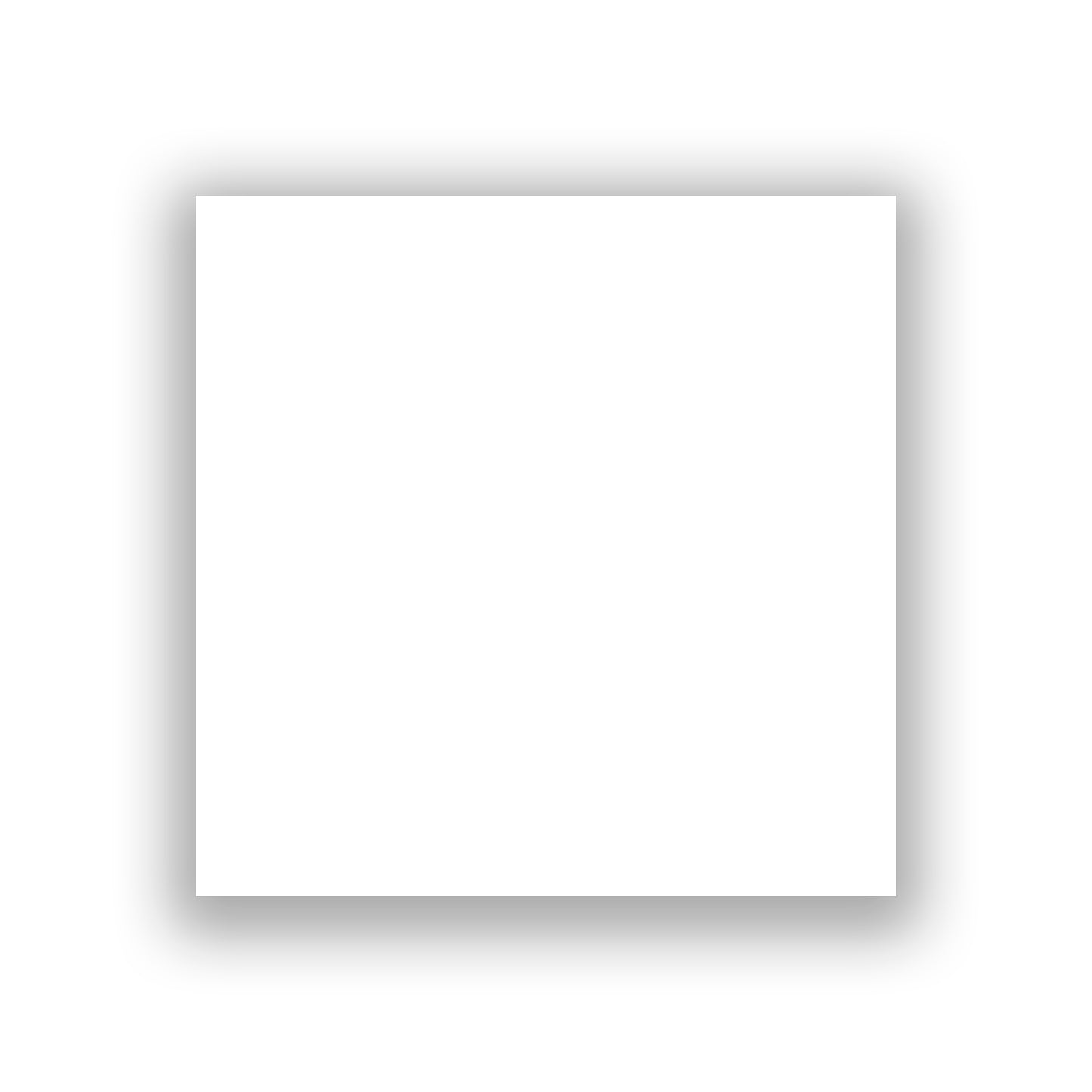 Square Image (1:1)